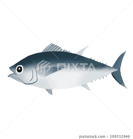 印度鮪魚（南方藍鰭鮪魚）插畫素材 109532946