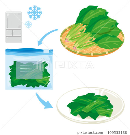 Frozen spinach and fresh spinach set 109533188