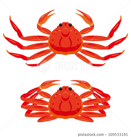 snow crab set 109533191