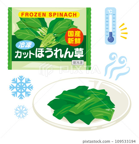 Frozen spinach set on a plate Frozen spinach set on a plate 109533194