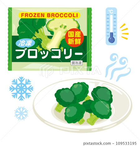 冷凍西蘭花放在盤子上 冷凍西蘭花放在盤子上 109533195