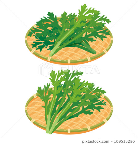 Shungiku set in a colander Shungiku set in a colander 109533280