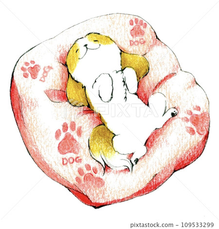 一隻可愛的西施狗睡在床上的插圖 109533299