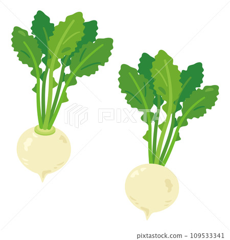 蘿蔔套裝 109533341