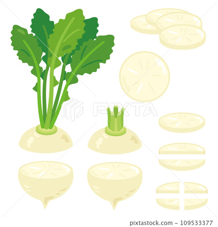 切蘿蔔套裝 109533377