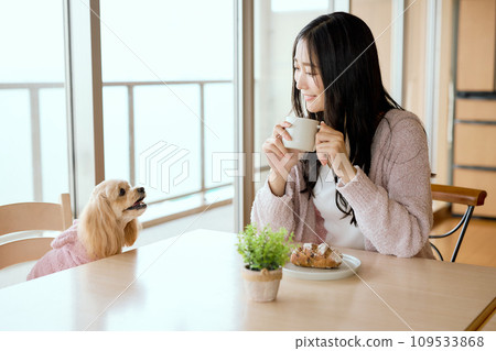 Eating breakfast with pet dog at dining table 109533868