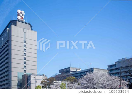 大分縣政府和櫻花 109533954
