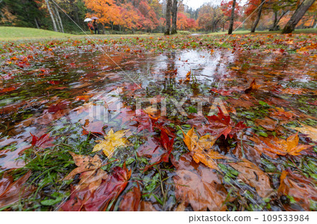 Hokkaido Japan Fukuhara Sanso Tokachi Autumn leaves Autumn Colorful maple Japanese garden 109533984