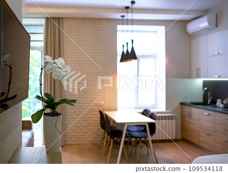 Small room with a sofa and kitchen set. Interior living room and kitchen. Interior of compact small house. Interior cottage Cooking area next to sofa. white orchid in a pot stands in the living room 109534118