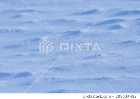 Plains in midwinter, Kushiro, Hokkaido 109534482