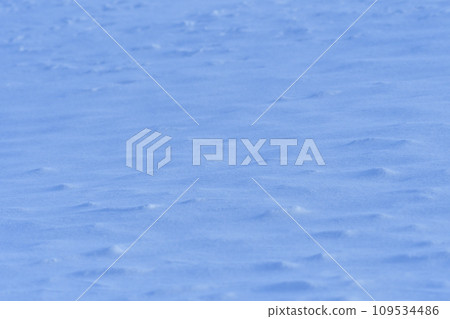 Plains in midwinter, Kushiro, Hokkaido 109534486