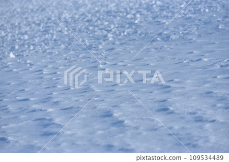 Plains in midwinter, Kushiro, Hokkaido Plains in midwinter, Kushiro, Hokkaido 109534489