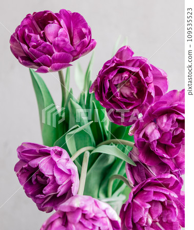 bouquet of gray red lilac tulips in glass vase on dark background. flower bouquet in vase on table bouquet of gray red lilac tulips in glass vase on dark background. flower bouquet in vase on table 109535523