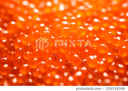 Closeup of natural red caviar as background, texture of expensive luxury fresh orange caviar macro photo Closeup of natural red caviar as background, texture of expensive luxury fresh orange caviar macro photo 109536366