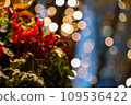 Christmas red flowers and illumination sparkling lights and bokeh 109536422
