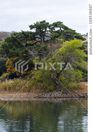 Tagamazuike Pond in autumn with cloudy skies Tottori Prefecture Tagamazuikeike 109536897