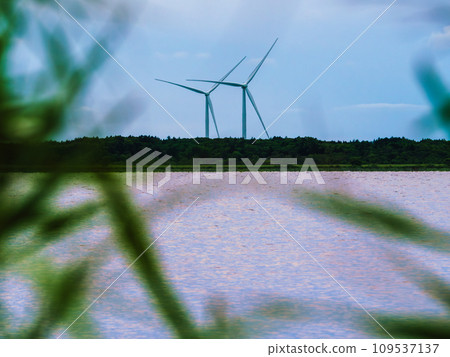 Windmills at Hamasato Wind Farm photographed from Panke Swamp in Sarobetsu Wilderness (registered under the Ramsar Convention) in Horonobe Town, Hokkaido Windmills at Hamasato Wind Farm photographed from Panke Swamp in Sarobetsu Wilderness (registered under the Ramsar Convention) in Horonobe Town, Hokkaido 109537137