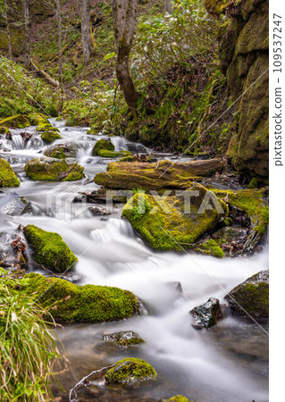 Japan, Aomori, Oirase Stream, Lake Towada, clear stream Japan, Aomori, Oirase Stream, Lake Towada, clear stream 109537247