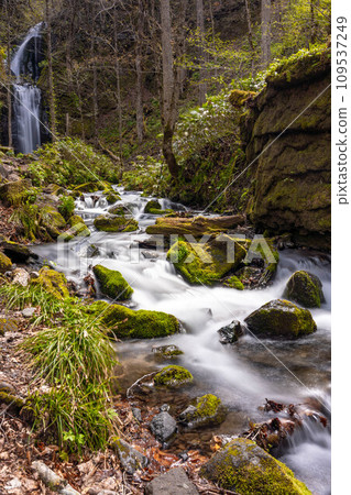 Japan, Aomori, Oirase Stream, Lake Towada, clear stream Japan, Aomori, Oirase Stream, Lake Towada, clear stream 109537249