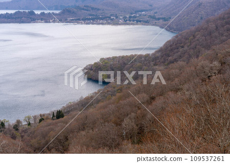 Japan, Aomori, Oirase Stream, Lake Towada, clear stream Japan, Aomori, Oirase Stream, Lake Towada, clear stream 109537261