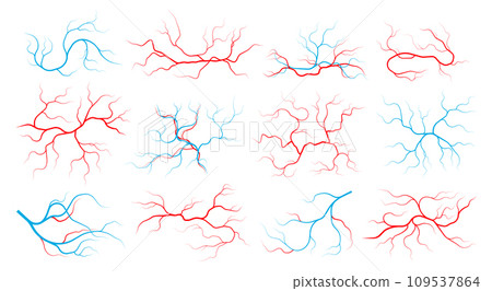Veins and arteries. Human vascular system and blood vessels, red capillary vessels with stream of blood, healthy cardiovascular system. Vector set Veins and arteries. Human vascular system and blood vessels, red capillary vessels with stream of blood, healthy cardiovascular system. Vector set 109537864
