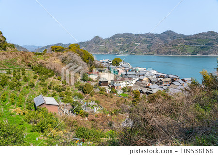 [Important Preservation District for Groups of Traditional Buildings] Toyomachi Mitarai Cityscape seen from Historical Park 10 Kure City, Hiroshima Prefecture 109538168