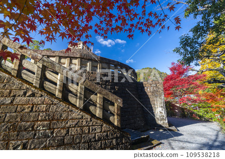 Kyoto in autumn, Adashino Nenbutsuji Temple, stupa covered in autumn leaves 109538218