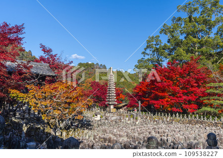 Kyoto in autumn, Adashino Nenbutsuji Temple, Saiin riverbank wrapped in autumn leaves Kyoto in autumn, Adashino Nenbutsuji Temple, Saiin riverbank wrapped in autumn leaves 109538227