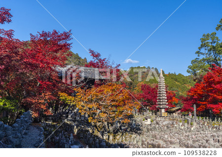 秋天的京都,足野念佛寺,秋葉包裹的西院河岸 秋天的京都,足野念佛寺,秋葉包裹的西院河岸 109538228