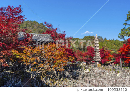 Kyoto in autumn, Adashino Nenbutsuji Temple, Saiin riverbank wrapped in autumn leaves 109538230