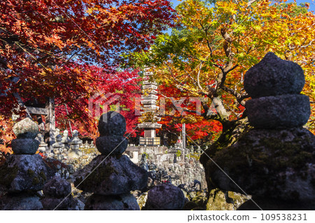 Kyoto in autumn, Adashino Nenbutsuji Temple, Saiin riverbank wrapped in autumn leaves 109538231