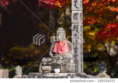 秋天的京都，足野念佛寺，秋葉包裹的西院河岸 109538253