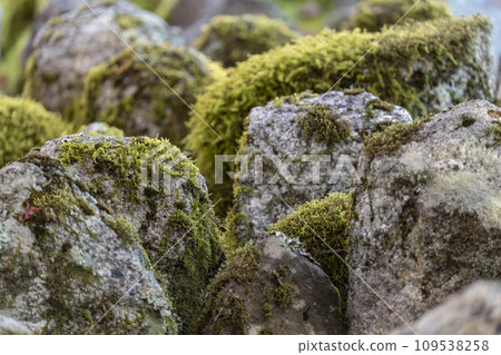 Kyoto in autumn, Adashino Nenbutsuji Temple, moss-covered stone Buddha 109538258