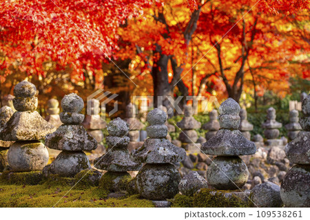 Kyoto in autumn, Adashino Nenbutsuji Temple, Saiin riverbank wrapped in autumn leaves Kyoto in autumn, Adashino Nenbutsuji Temple, Saiin riverbank wrapped in autumn leaves 109538261