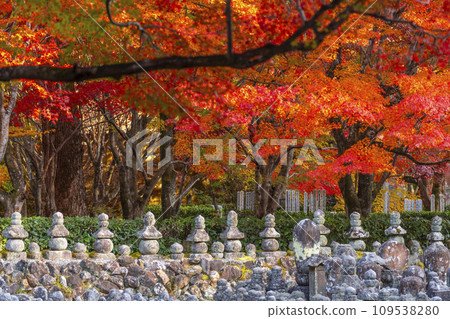 Kyoto in autumn, Adashino Nenbutsuji Temple, Saiin riverbank wrapped in autumn leaves Kyoto in autumn, Adashino Nenbutsuji Temple, Saiin riverbank wrapped in autumn leaves 109538280