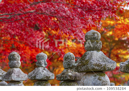 Kyoto in autumn, Adashino Nenbutsuji Temple, Saiin riverbank wrapped in autumn leaves Kyoto in autumn, Adashino Nenbutsuji Temple, Saiin riverbank wrapped in autumn leaves 109538284