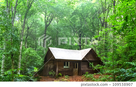 Old abandoned house/vacant house in the deep forest "AI generated image" 109538907