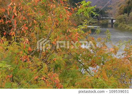 Tadami line of autumn leaves Tadami line of autumn leaves 109539031