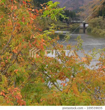 Tadami line of autumn leaves Tadami line of autumn leaves 109539035