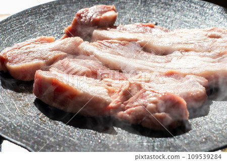 Camping meal, pork cooked on an iron plate Camping meal, pork cooked on an iron plate 109539284