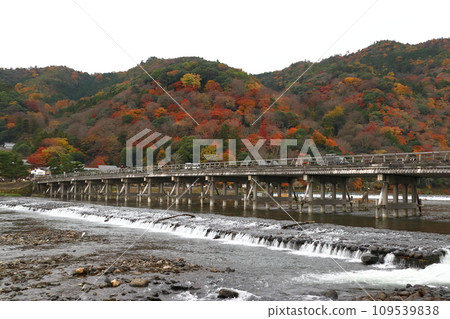 桂川、嵐山、渡月橋（京都市右京區）陰天有秋葉 109539838