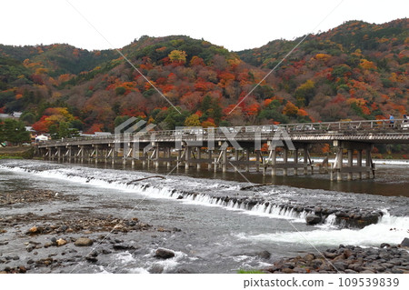 Katsuragawa River, Arashiyama, and Togetsukyo Bridge (Ukyo Ward, Kyoto City) with autumn leaves on a cloudy day Katsuragawa River, Arashiyama, and Togetsukyo Bridge (Ukyo Ward, Kyoto City) with autumn leaves on a cloudy day 109539839