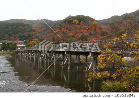 桂川、嵐山、渡月橋(京都市右京區)陰天有秋葉 桂川、嵐山、渡月橋(京都市右京區)陰天有秋葉 109539842