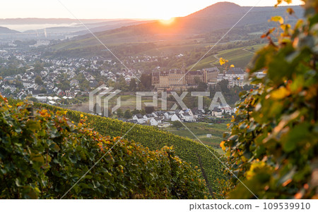 Ahr, Rhineland-Palatinate, Germany Ahr, Rhineland-Palatinate, Germany 109539910