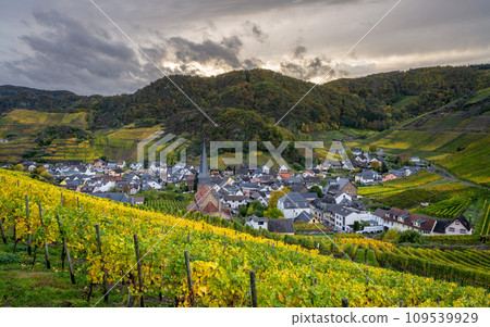 Mayschoss, Ahr, Rhineland-Palatinate, Germany Mayschoss, Ahr, Rhineland-Palatinate, Germany 109539929