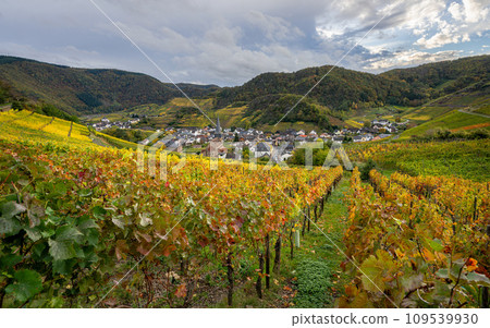 Mayschoss, Ahr, Rhineland-Palatinate, Germany Mayschoss, Ahr, Rhineland-Palatinate, Germany 109539930