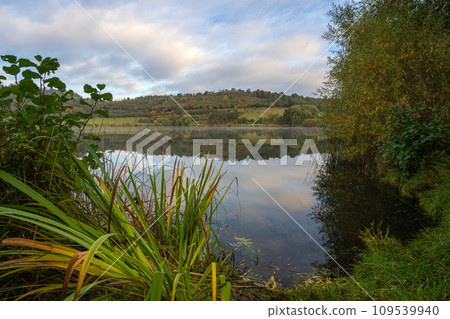 Eifel, Rhineland-Palatinate, Germany 109539940