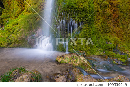 Eifel, Rhineland-Palatinate, Germany Eifel, Rhineland-Palatinate, Germany 109539949