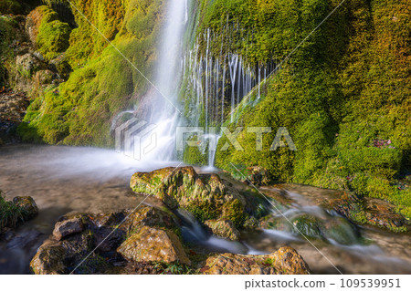 Eifel, Rhineland-Palatinate, Germany Eifel, Rhineland-Palatinate, Germany 109539951