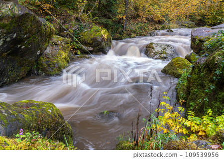 Eifel, Rhineland-Palatinate, Germany 109539956